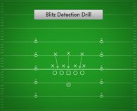 Blitz Detection Drill